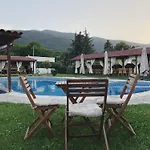 Guest house флора 4*