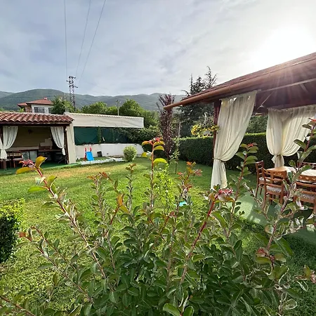 флора 4* Patalenitsa