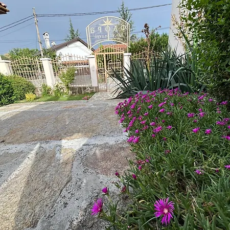 флора 4* Patalenitsa