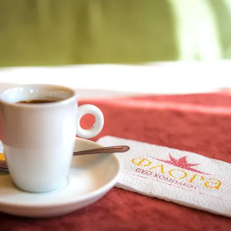 Гостевой дом флора Patalenitsa