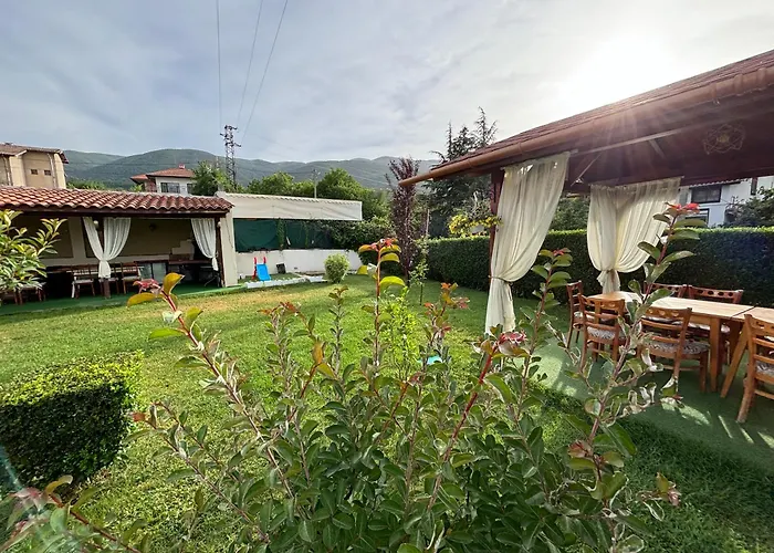 флора 4* Паталеница