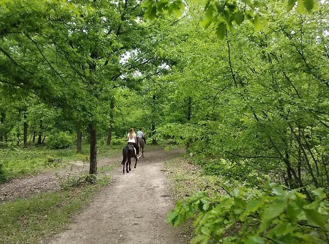 Къща за гости флора 4*